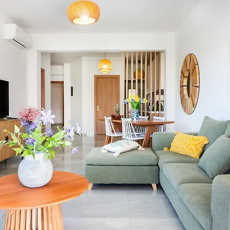 Agia Marina Olive Summer Apartment