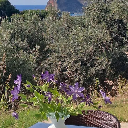 Agia Marina Olive Summer 아파트 *