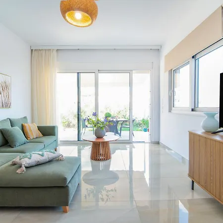 Agia Marina Olive Summer *
